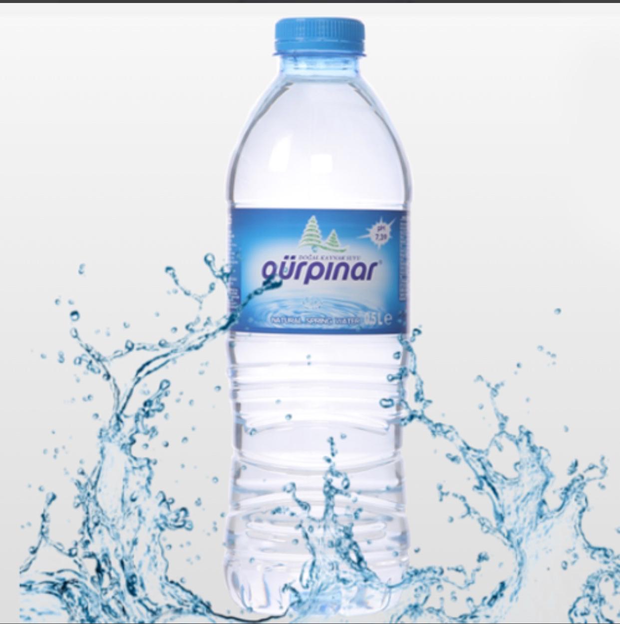 0.5 LT GÜRPINAR  PETSUX24 